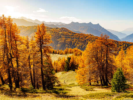 Madjacques Trek Queyras