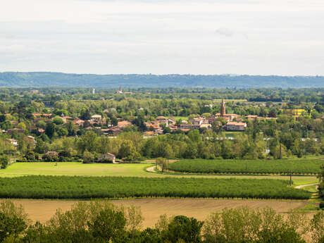 Point de vue de Cordes-Tolosannes