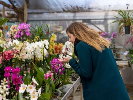 Entre saveurs et senteurs