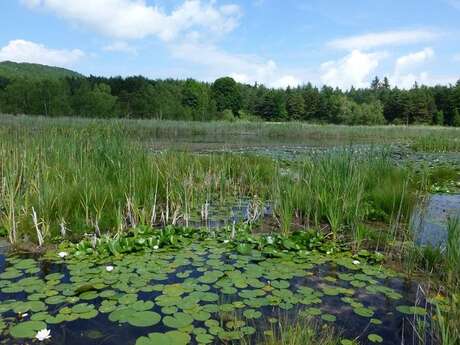 Lac de Saint-Léger