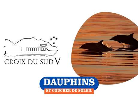 Cruise : Dolphins & Sunset | Croix du Sud V