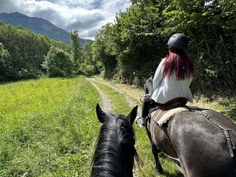 Balade à cheval au coucher du soleil