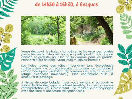 Balade Champêtre Balade Champêtre