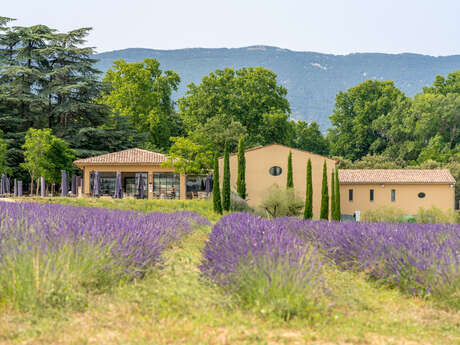 Visite Cave et  Dégustation au Château de Sannes