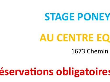Stage Poneys/Chevaux Ete