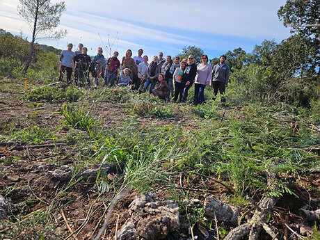 Chantier Nature : La lutte contre le mimosa continue pour préserver la biodiversité !