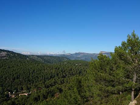 Forêt de Fontblanche