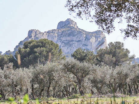 Klettergebiet Saint-Rémy-de-Provence – Mont Gaussier – Le balcon des amoureux