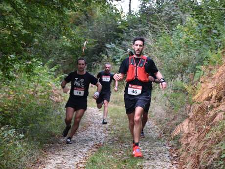 Trail du Buis