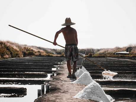Guided or self-guided tour of the PickSel salt marshes