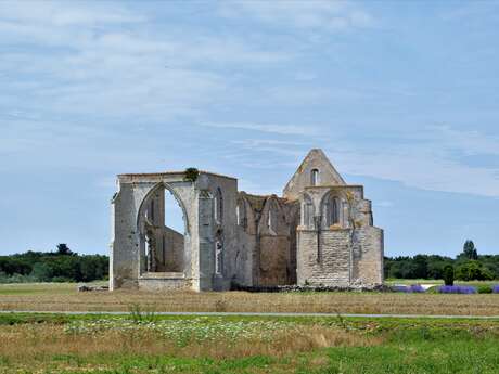 Visite guidée à vélo - Voyage historique au cœur de l'Île de Ré par J&M EVASION