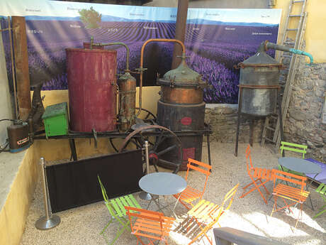 Musée de la Lavande