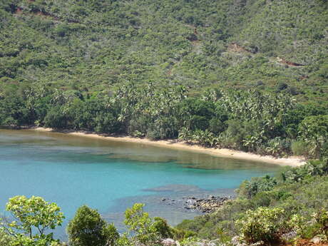 Point de vue Tamanou