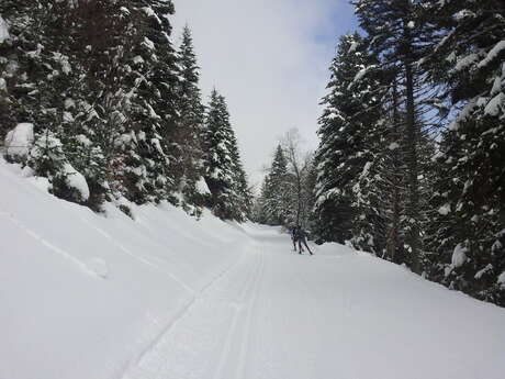 Domaine nordique du Col de Marcieu