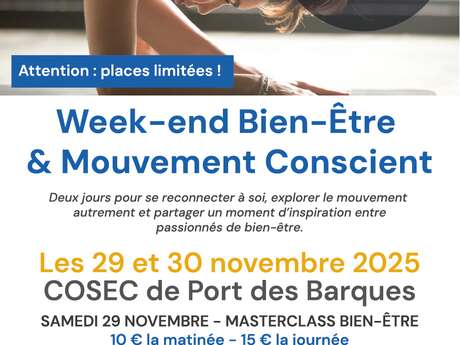 Wellness-Meisterkurs