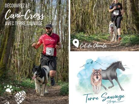 Cani cross with Terre Sauvage