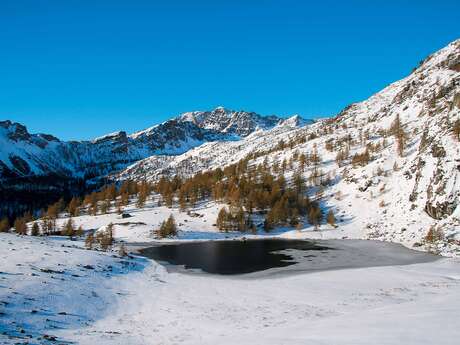 Snowshoeing - Frog lake