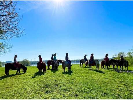 Association Lac de Maine Equitation