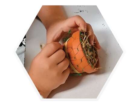 Atelier "Fabrication d'un nichoir à insectes"