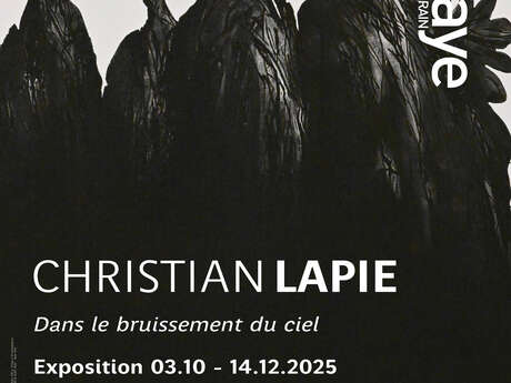Exposition : Christian Lapie "Dans le Bruissement du Ciel"