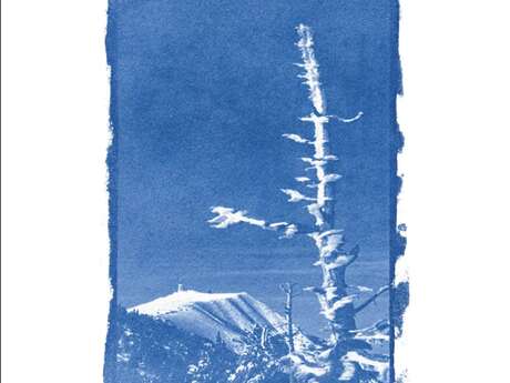 Exposition de photographies