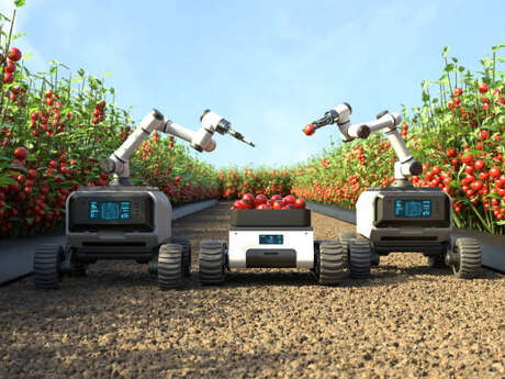 Fablab : Découverte des robots Thymio