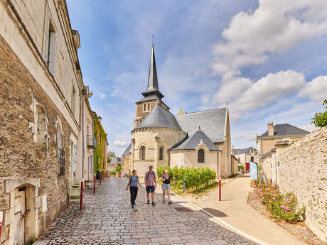 Sur les coteaux de Savennières