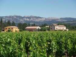 Domaine Aymard