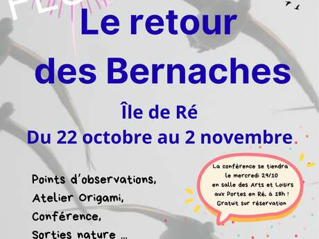 Point d'observation - Festival le retour des bernaches - Rivedoux Point d'observation - Festival le retour des bernaches - Rivedoux