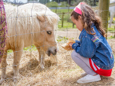 Les Pies du Sud Stables