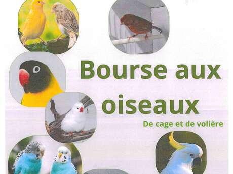 Bourse aux oiseaux