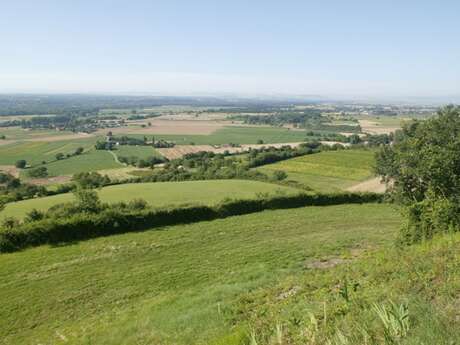 La butte de Montgacon - Les balades de Léa et Tino