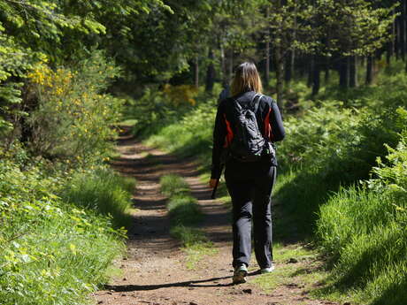 28ème Marche du Bol d'Air