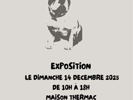 EXPOSITION MOODS CREATIONS