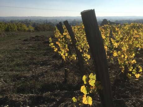 Accord Exquis au Domaine du Closel