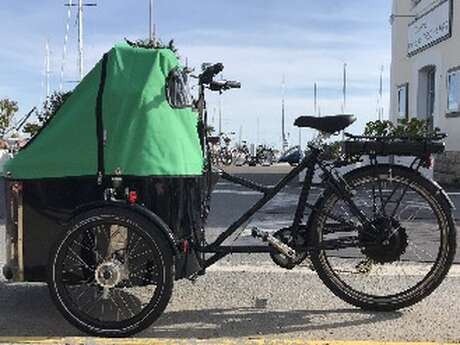 Electric scooter ride