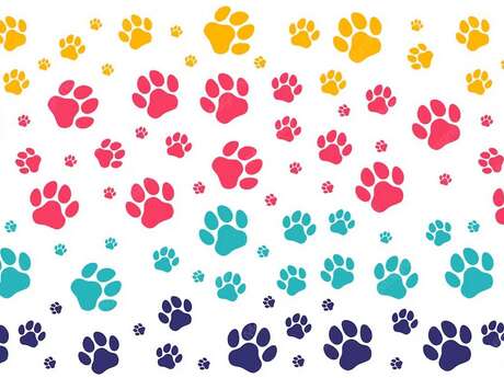 Part'âge Nature: Outing – Animal tracks and prints