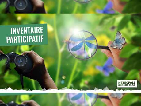 Inventaire participatif de la biodiversité du Grand Pré de Levens