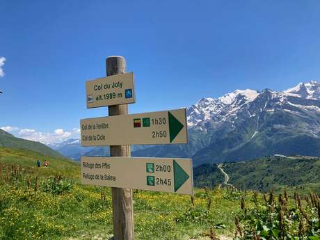 Expertkurs : Der Mont Blanc vom Col du Joly aus gesehen