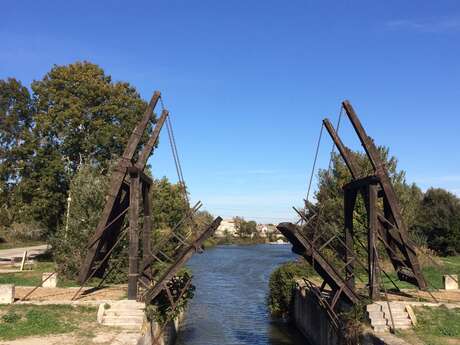 Bridge Van Gogh