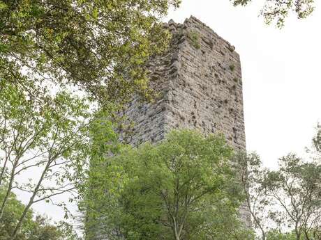 La Tour Saint Pierre des Salles du Gardon