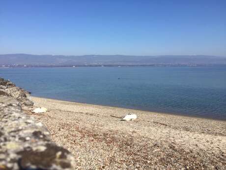 Plage municipale