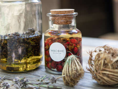 Ventoux Saveurs Festival - "Plants and Remedies" Workshop - Wacohe and Le Moulin César