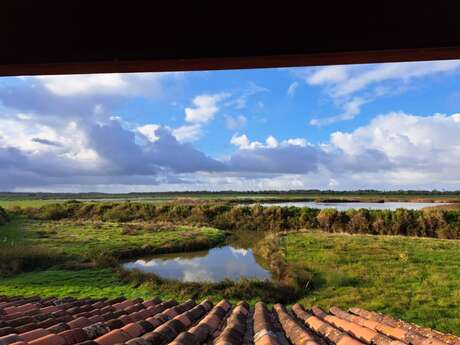 Sortie biodiversité