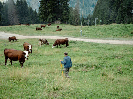 Ferme du Féto