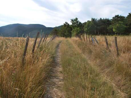 Le Serre de Bout (N°12)