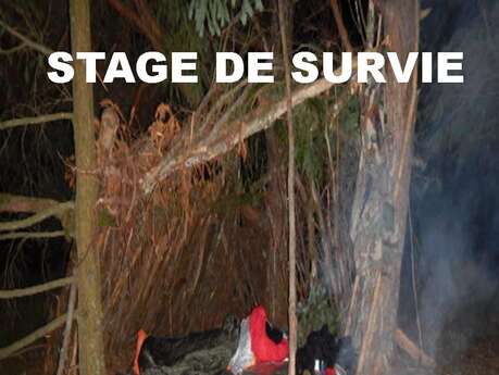 Les ateliers survivalisme