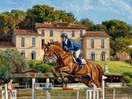 Concours de sauts d'obstacles