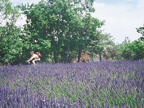 Grande Traversée du Luberon