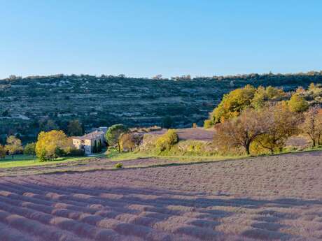 La Grande Bastide